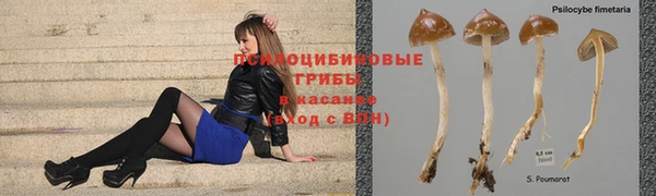 спайс Вязьма