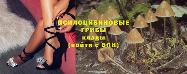 бошки Вяземский