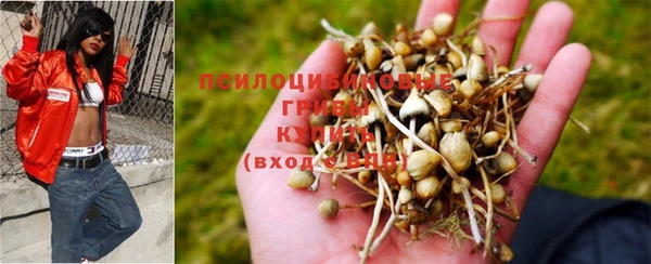 спайс Вязьма