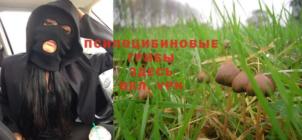 спайс Вязьма