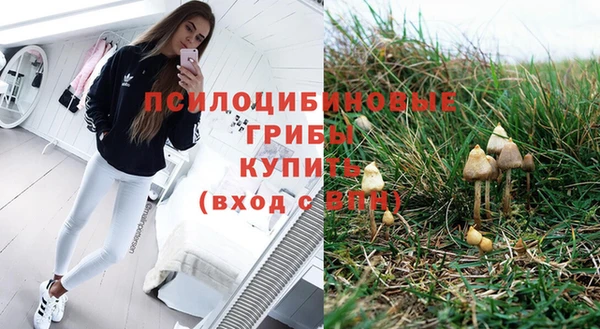спайс Вязьма