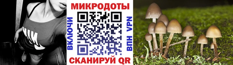 Галлюциногенные грибы прущие грибы  где продают наркотики  Магнитогорск 